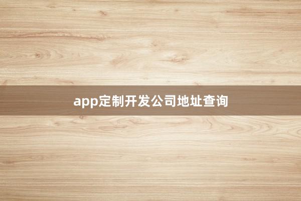 app定制开发公司地址查询