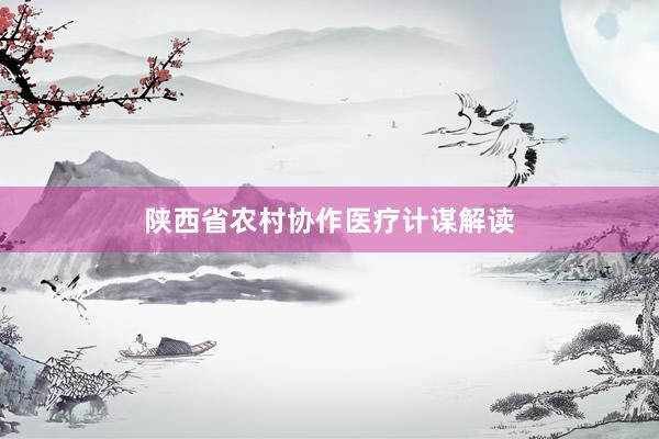 陕西省农村协作医疗计谋解读