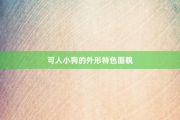 可人小狗的外形特色面貌